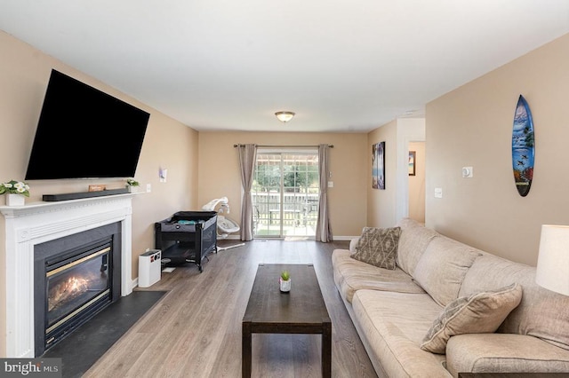 7504 Heathrow Dr, Fredericksburg, VA 22407 - living room featuring wood finished floors, a glass covered fireplace, and baseboards