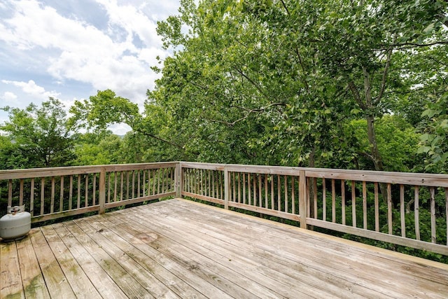 266 Locustdale Loop, Shenandoah, VA 22849 - photo 45