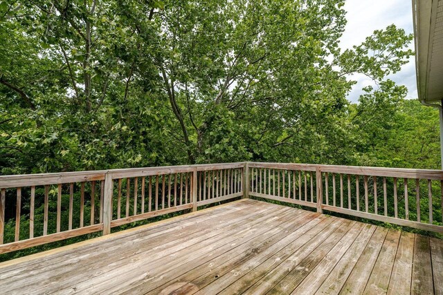 266 Locustdale Loop, Shenandoah, VA 22849 - photo 48