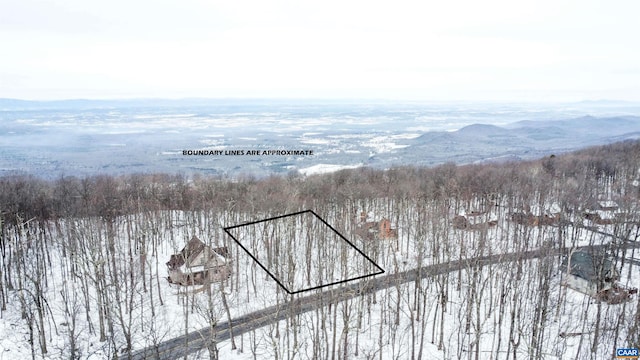 1331 Laurel Springs Rd, Wintergreen Resort, VA 22967