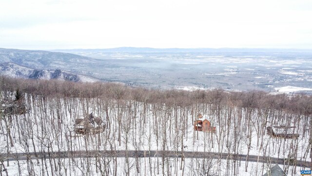 1331 Laurel Springs Rd, Wintergreen Resort, VA 22967