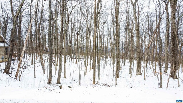 1331 Laurel Springs Rd, Wintergreen Resort, VA 22967