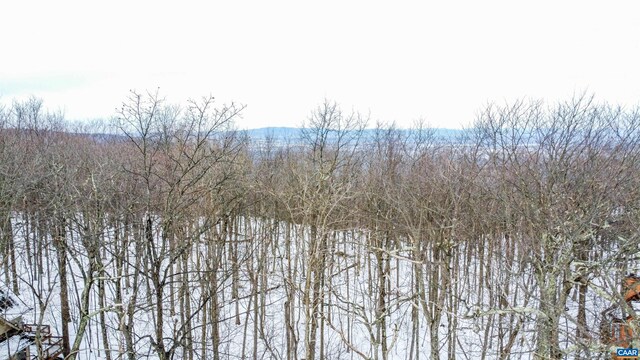 1331 Laurel Springs Rd, Wintergreen Resort, VA 22967
