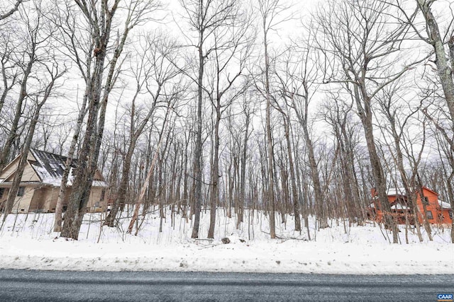 1331 Laurel Springs Rd, Wintergreen Resort, VA 22967