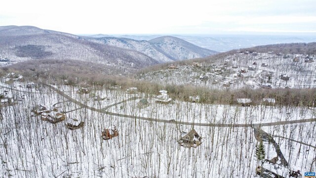 1331 Laurel Springs Rd, Wintergreen Resort, VA 22967
