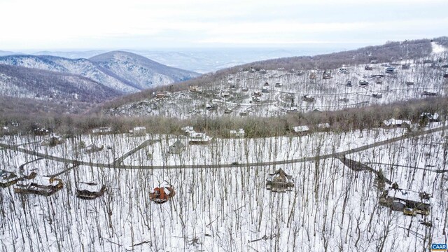 1331 Laurel Springs Rd, Wintergreen Resort, VA 22967