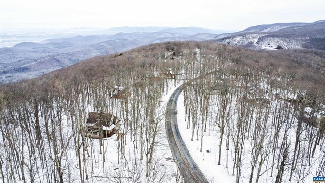 1331 Laurel Springs Rd, Wintergreen Resort, VA 22967
