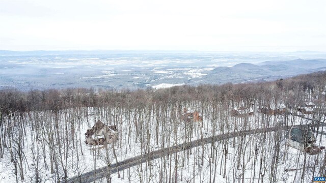 1331 Laurel Springs Rd, Wintergreen Resort, VA 22967
