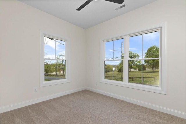 1019 Frye St, Waynesboro, VA 22980 - spare room featuring ceiling fan and light colored carpet