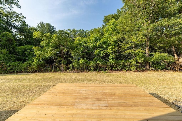 1019 Frye St, Waynesboro, VA 22980 - view of wooden terrace