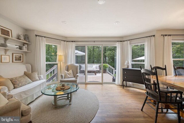  - living room featuring wood finished floors