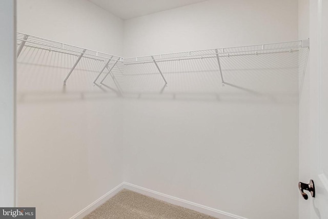 spacious closet with light colored carpet