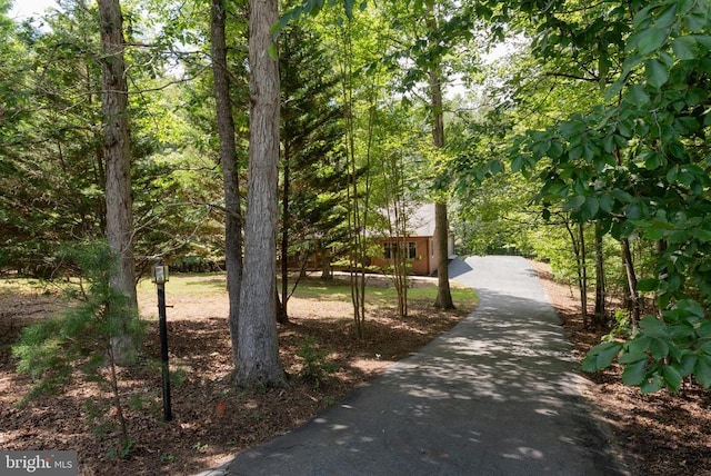 45 Tall Oaks Ct, Keswick, VA 22947 - photo 46