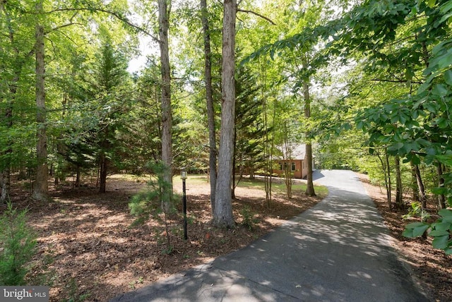 45 Tall Oaks Ct, Keswick, VA 22947 - photo 45