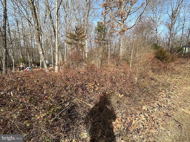 Sheila Ln, Shenandoah, VA 22849