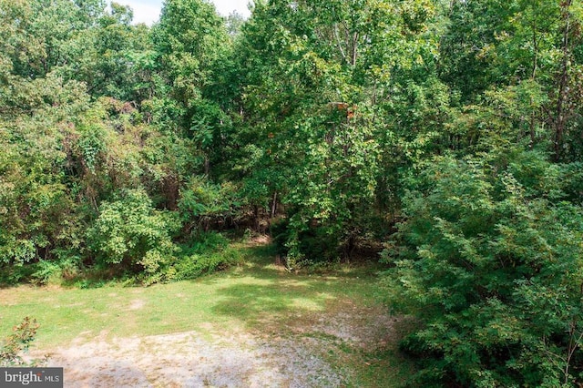 Sheila Ln, Shenandoah, VA 22849