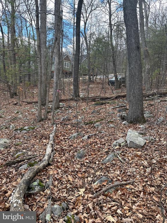 Sheila Ln, Shenandoah, VA 22849