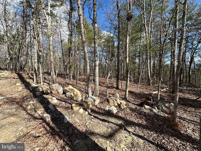 Sheila Ln, Shenandoah, VA 22849