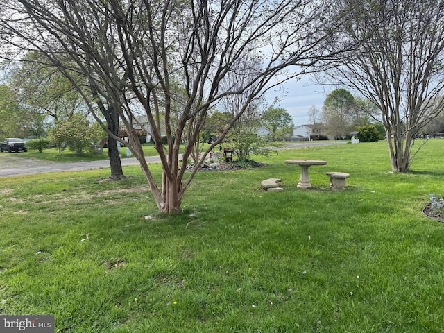view of green lawn