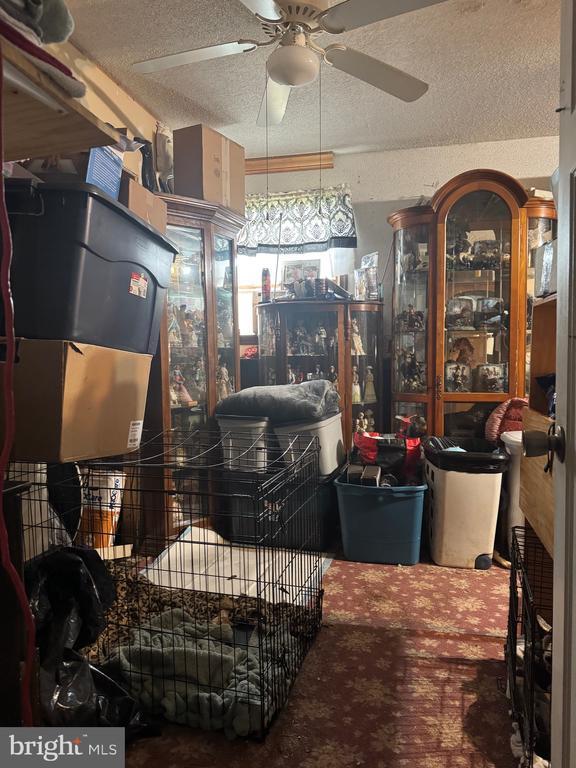 storage featuring ceiling fan