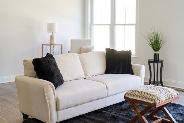 living room with hardwood / wood-style floors