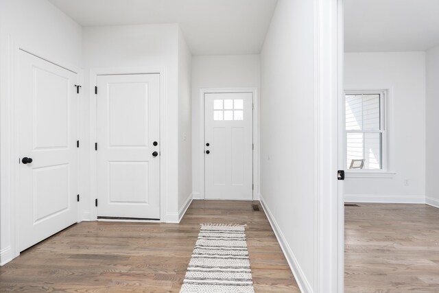 entrance foyer with a wealth of natural light and light hardwood / wood-style flooring