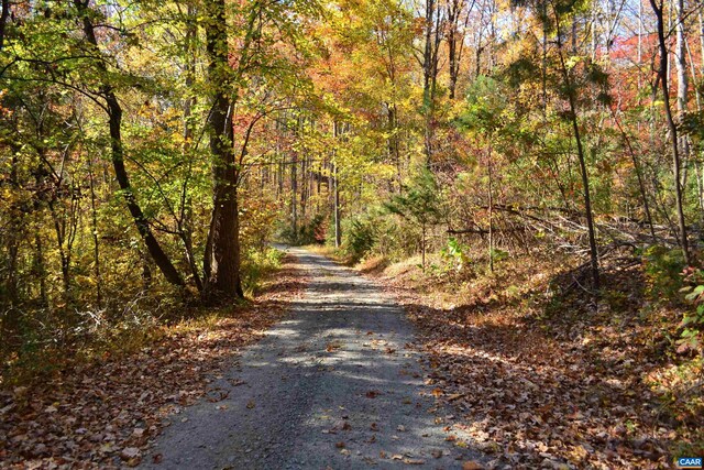 2A Scottsville Rd, Charlottesville, VA 22902 - photo 21