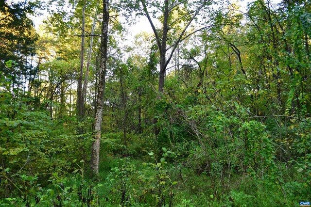 2A Scottsville Rd, Charlottesville, VA 22902 - photo 12