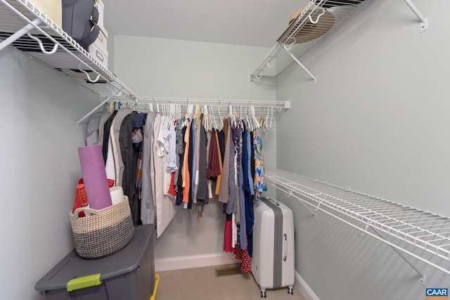 view of spacious closet