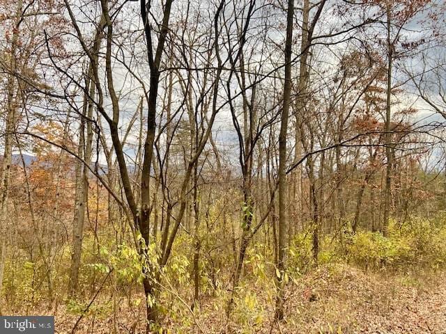 Page Valley Rd, Luray VA, 22835 land for sale