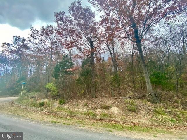 Listing photo 3 for Page Valley Rd, Luray VA 22835