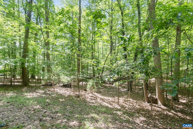 2 Whippoorwill Ln, Palmyra, VA 22963 - view of undeveloped land