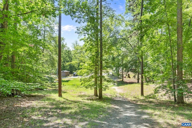 2 Whippoorwill Ln, Palmyra, VA 22963 - view of yard featuring a wooded view