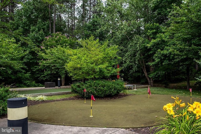 5715 Kesslers Xing W, Fredericksburg, VA 22407 - view of community with a putting green