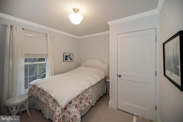 1411 Lakeview Pkwy, Locust Grove, VA 22508 - bedroom with ornamental molding and light carpet