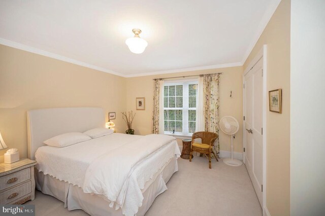 1411 Lakeview Pkwy, Locust Grove, VA 22508 - bedroom with crown molding, light colored carpet, and baseboards