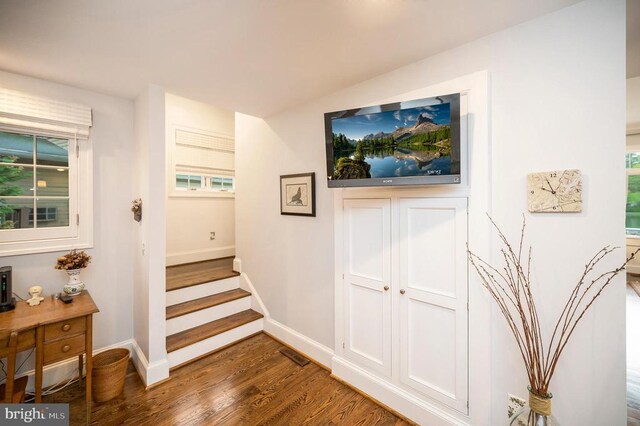 1411 Lakeview Pkwy, Locust Grove, VA 22508 - stairs featuring baseboards and wood finished floors
