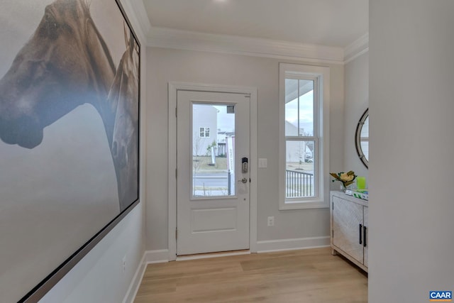 3053 Rambling Brook Ln, Crozet, VA 22932 - doorway to outside with ornamental molding and light wood-style flooring