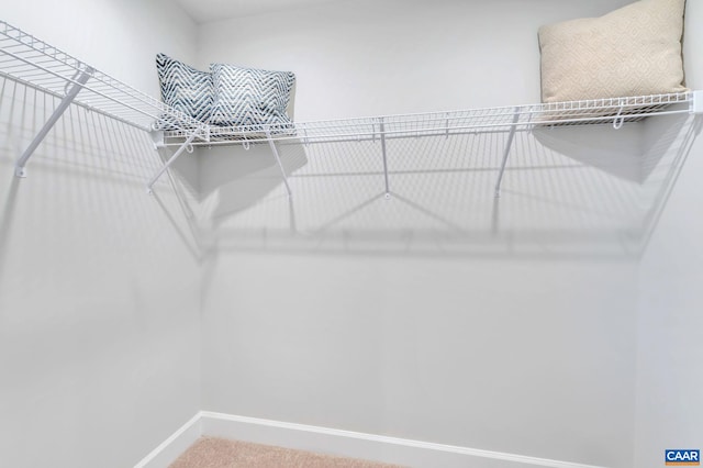 3053 Rambling Brook Ln, Crozet, VA 22932 - spacious closet with carpet flooring