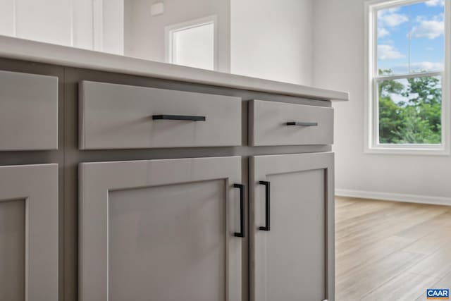 3053 Rambling Brook Ln, Crozet, VA 22932 - detailed view of wood finished floors and baseboards