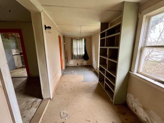 1201 Burnett St, Staunton, VA 24401 - hallway with plenty of natural light