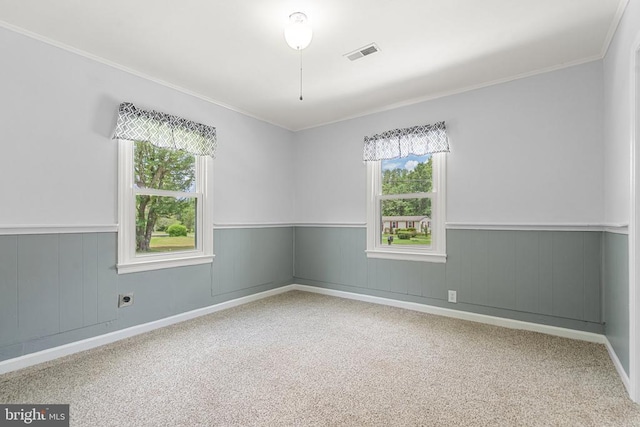 19012 Lahore Rd, Orange, VA 22960 - spare room with ornamental molding, a wainscoted wall, and carpet flooring