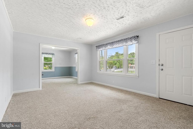 19012 Lahore Rd, Orange, VA 22960 - spare room with carpet floors, a textured ceiling, and ornamental molding