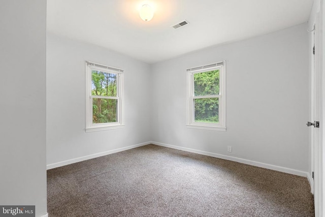 19012 Lahore Rd, Orange, VA 22960 - spare room with plenty of natural light and carpet