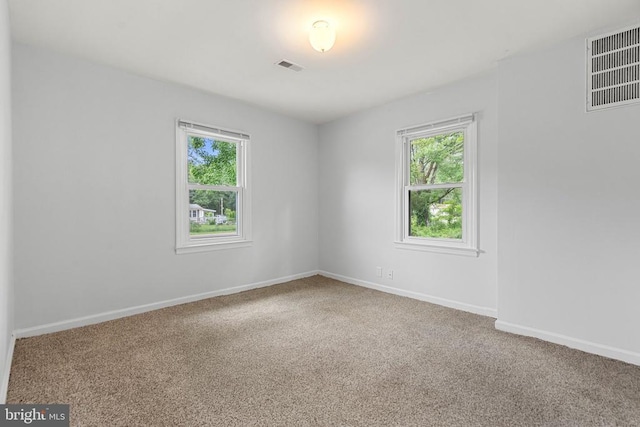 19012 Lahore Rd, Orange, VA 22960 - carpeted empty room featuring plenty of natural light