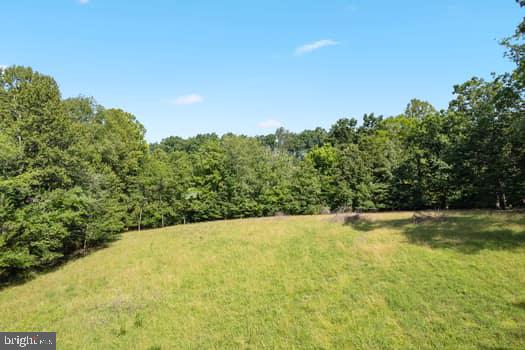 16474 Douglas Rd, Barboursville, VA 22923 - photo 53