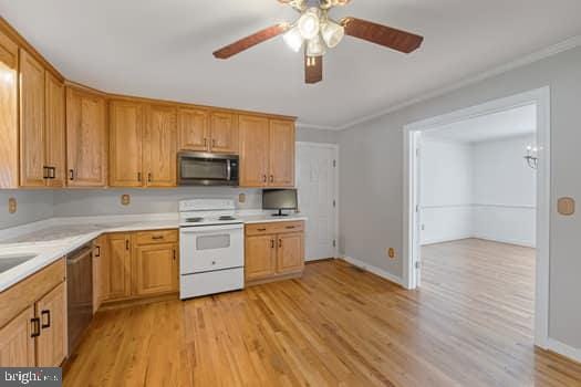 16474 Douglas Rd, Barboursville, VA 22923 - photo 14