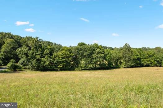16474 Douglas Rd, Barboursville, VA 22923 - photo 54