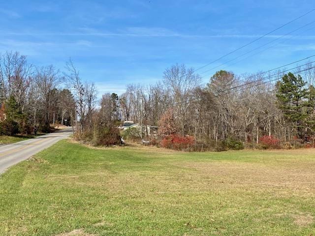Howardsville Tpke, Stuarts Draft, VA 24477 - photo 2