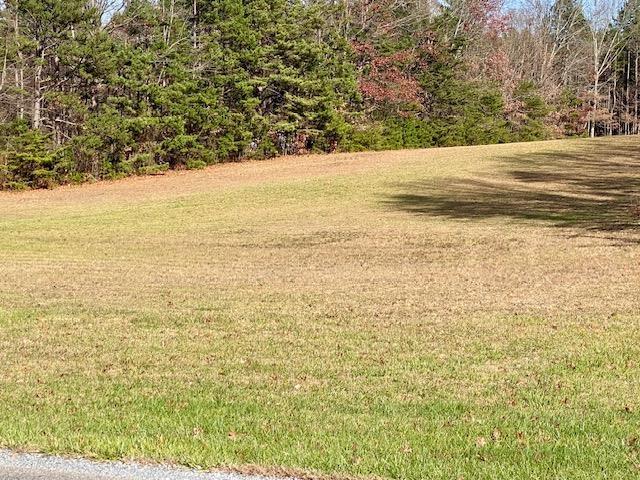 Howardsville Tpke, Stuarts Draft, VA 24477 - photo 3